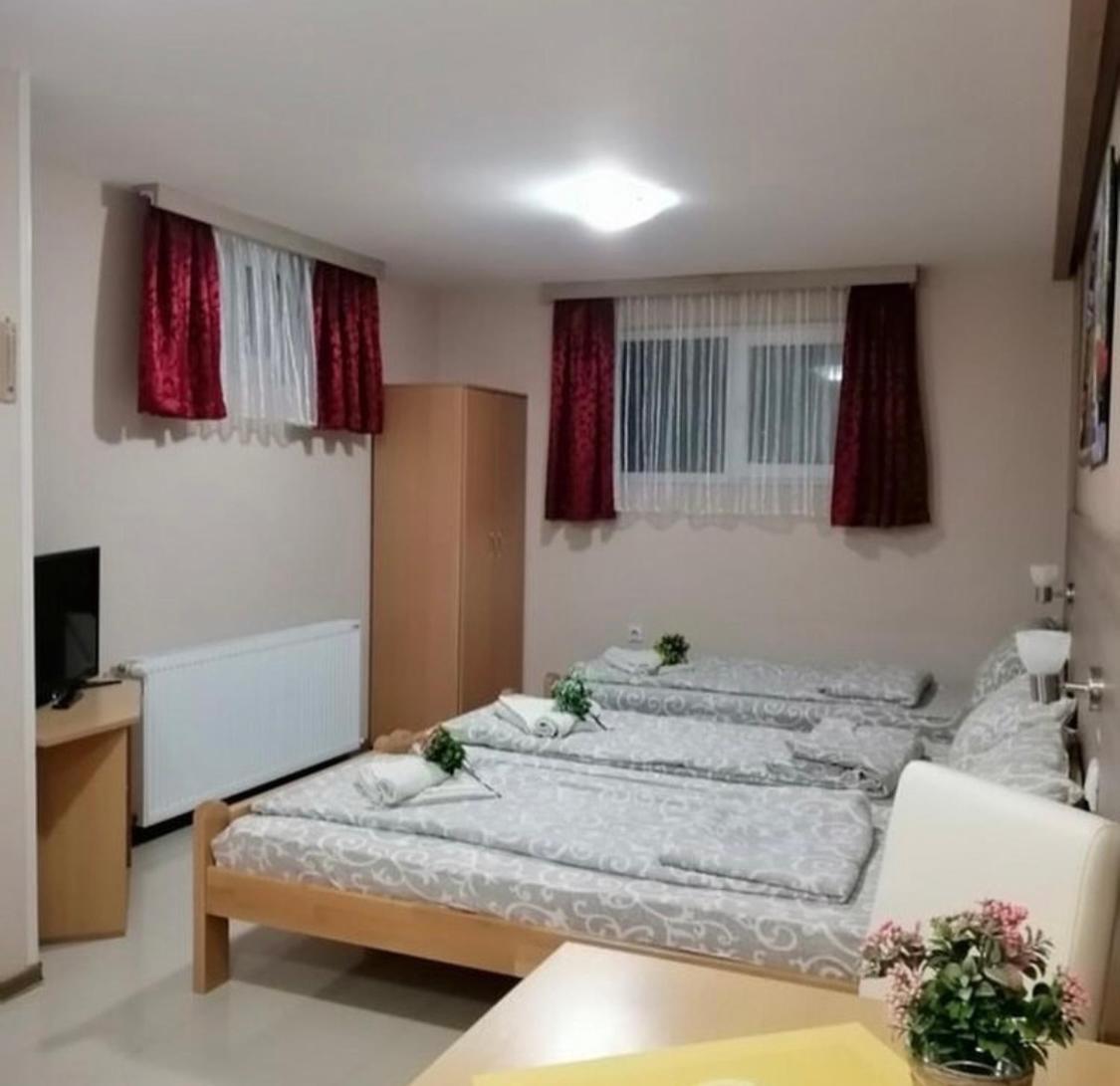 Konak Vila Mirkovic 索科矿泉村 外观 照片